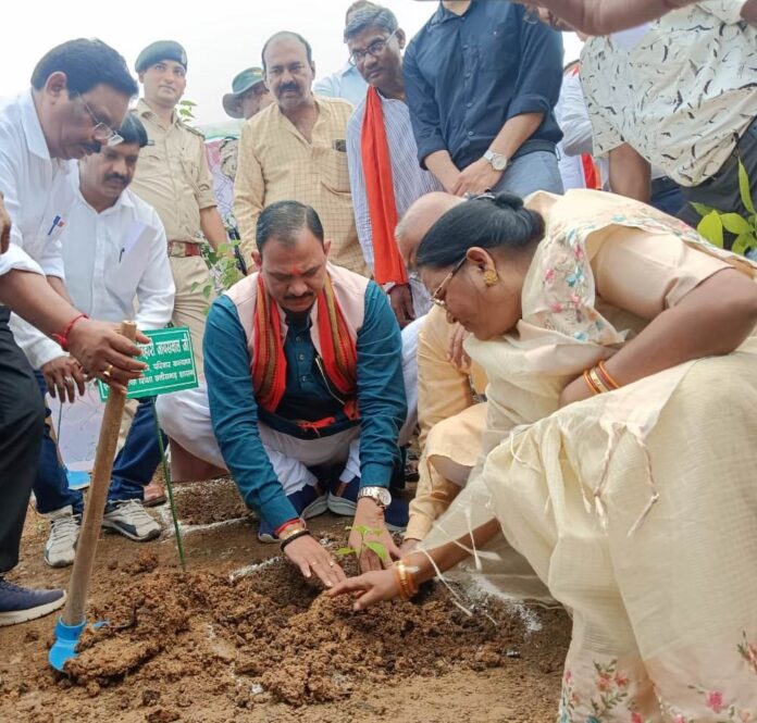 पौधारोपण कर किया वन महोत्सव का शुभारंभ